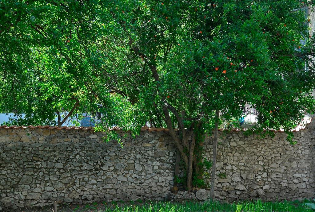 Hostel Bojo Mostar Exteriér fotografie